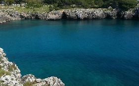 Badisco Vacanze